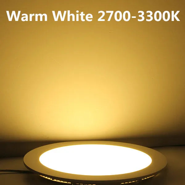 Ultrathin LED Downlight LED Round Panel Light 3W 6W 9W 12W 15W 25W Led Ceiling Recessed Grid Downlight Lamp Lighting 110V 220V